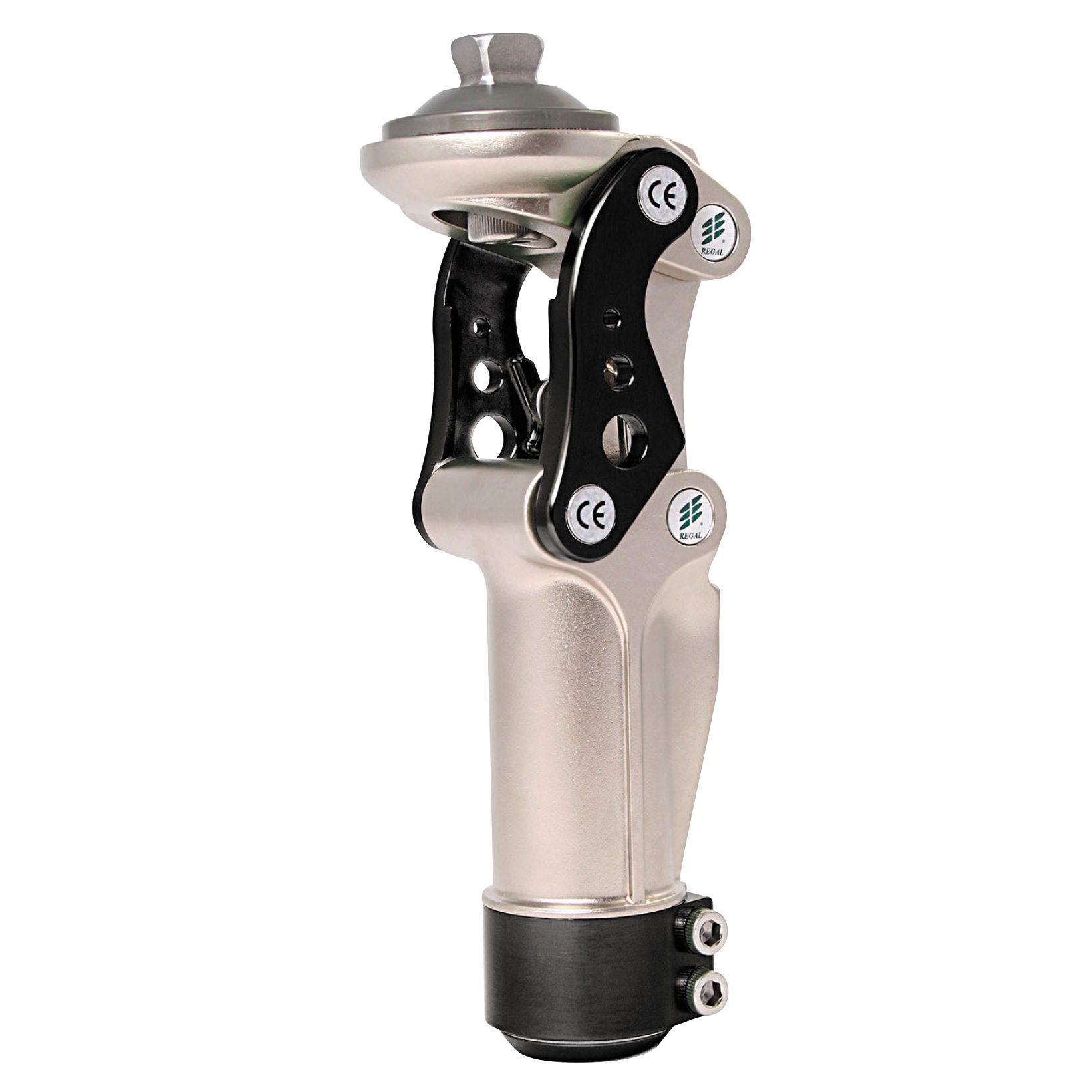 Regal Knee S500