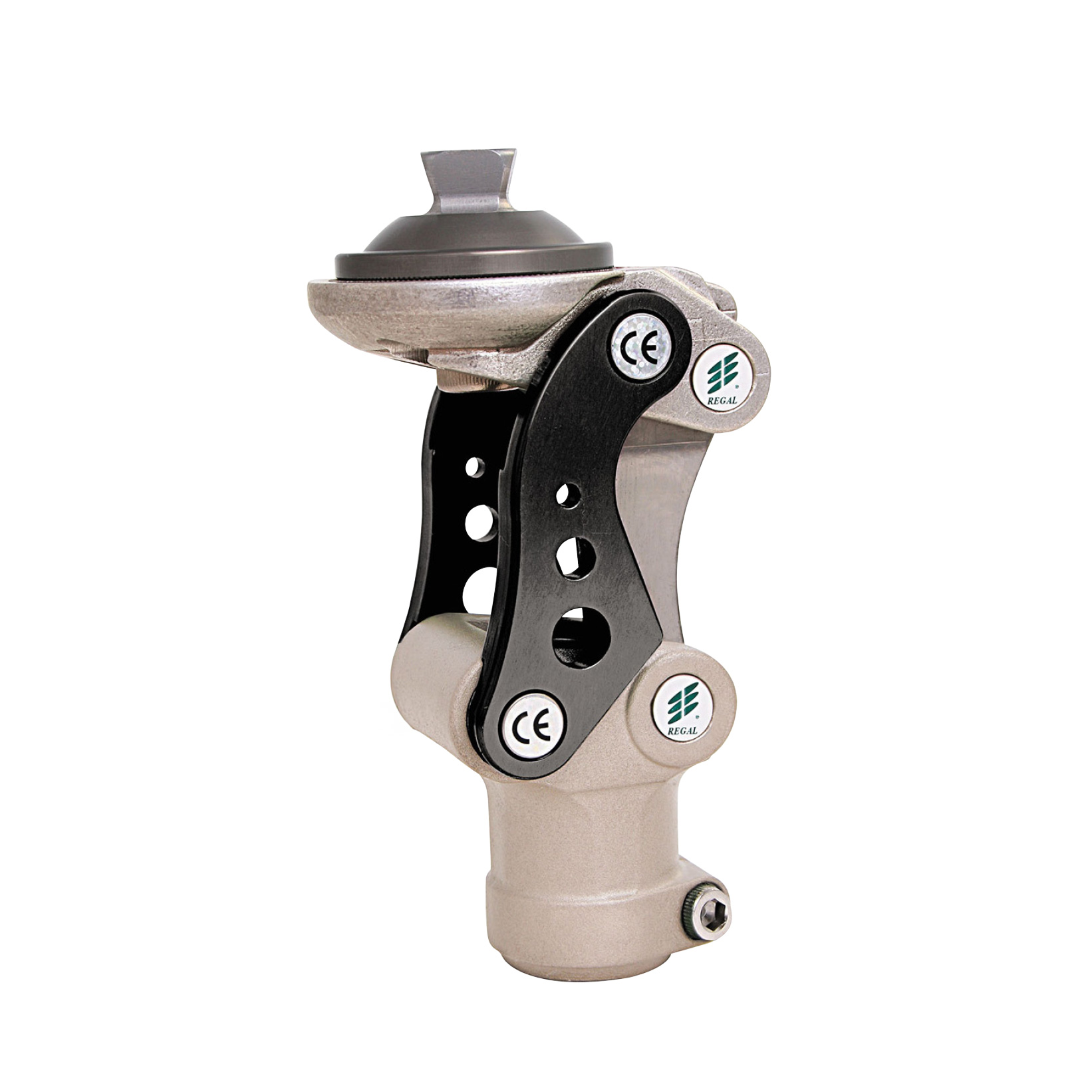 Regal Knee S400