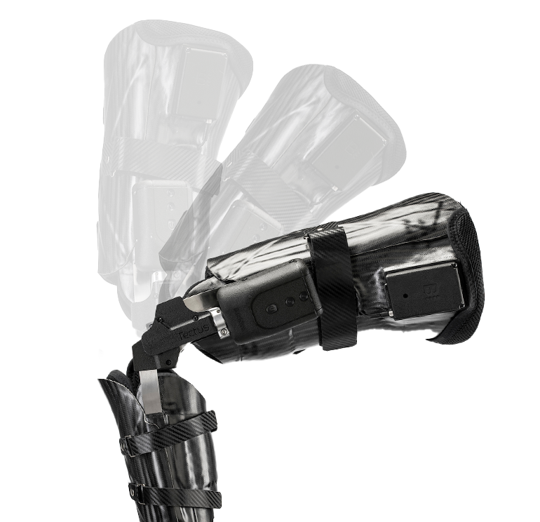 Tectus Knee Bend Cropped
